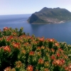 Chappies-02